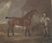 David Dalby The Racehorse 'Woodpecker' in a stall oil painting